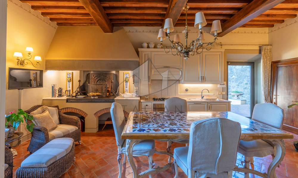 Historic Villa Chianti Vineyard Florence Tuscany Italy