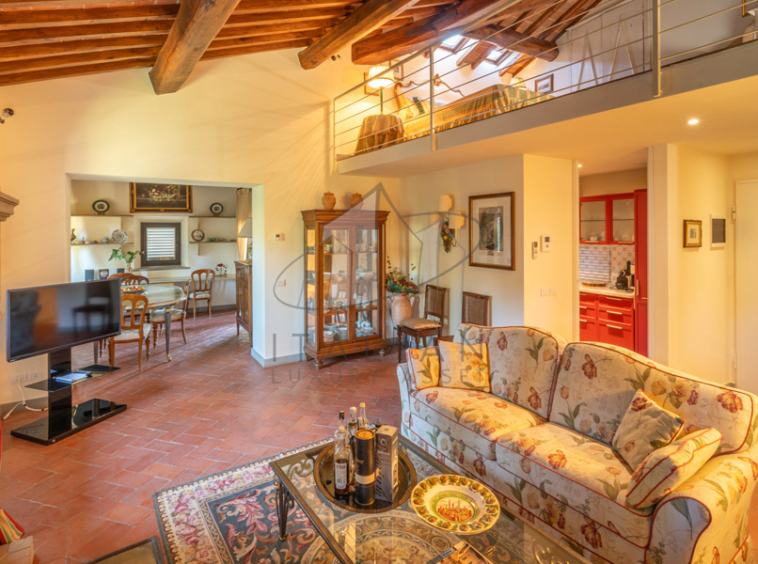Historic Villa Chianti Vineyard Florence Tuscany Italy