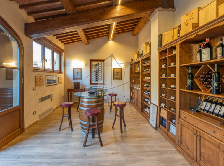 Historic Villa Chianti Vineyard Florence Tuscany Italy