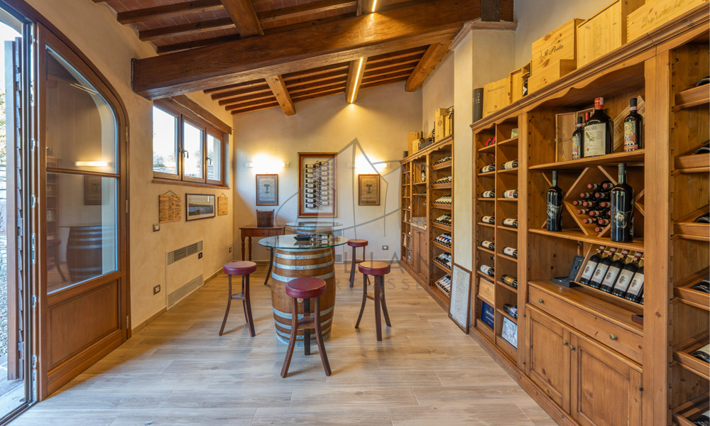 Historic Villa Chianti Vineyard Florence Tuscany Italy