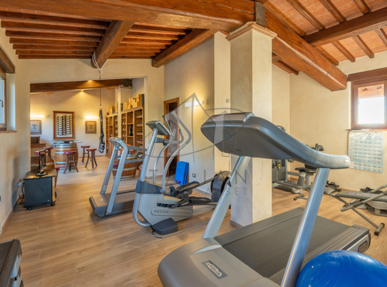 Historic Villa Chianti Vineyard Florence Tuscany Italy