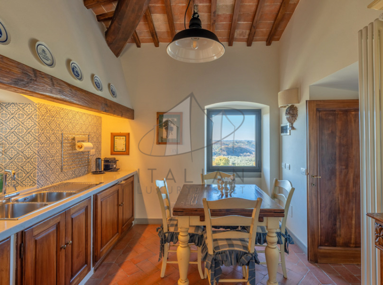 Historic Villa Chianti Vineyard Florence Tuscany Italy