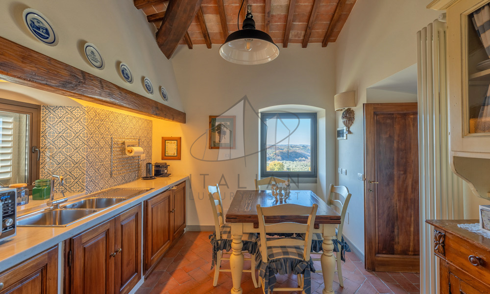 Historic Villa Chianti Vineyard Florence Tuscany Italy