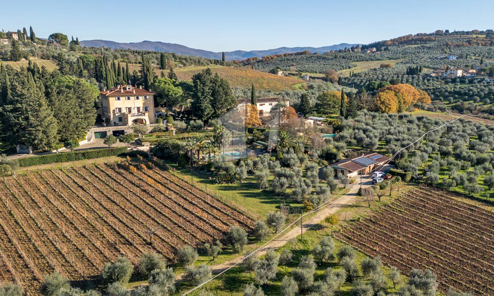 Historic Villa Chianti Vineyard Florence Tuscany Italy