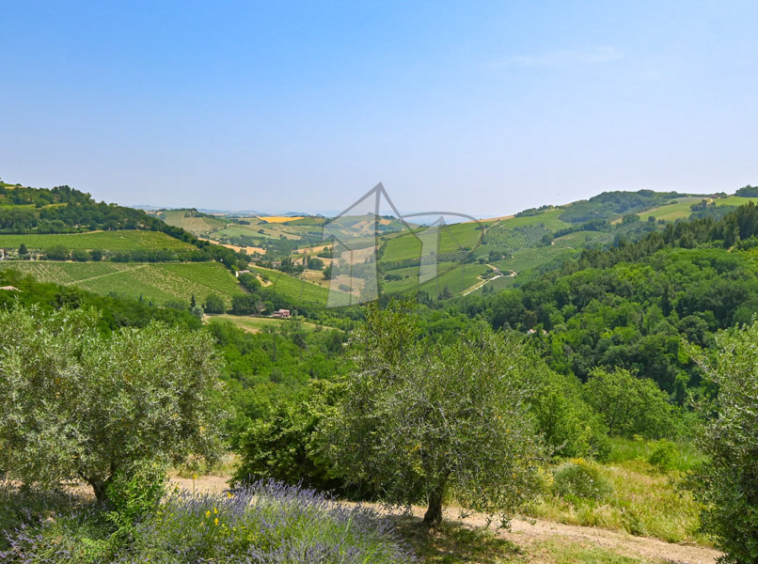 Country House Poggio San Marcello Ancona Marche Italy