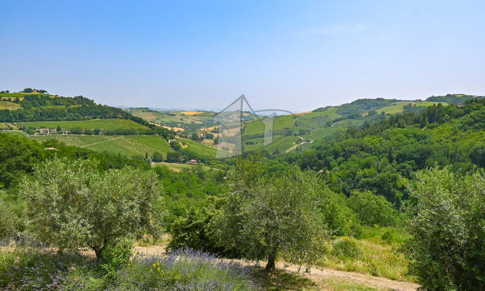 Country House Poggio San Marcello Ancona Marche Italy