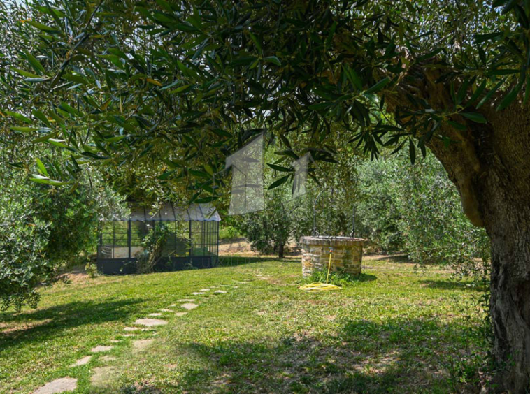 Country House Poggio San Marcello Ancona Marche Italy