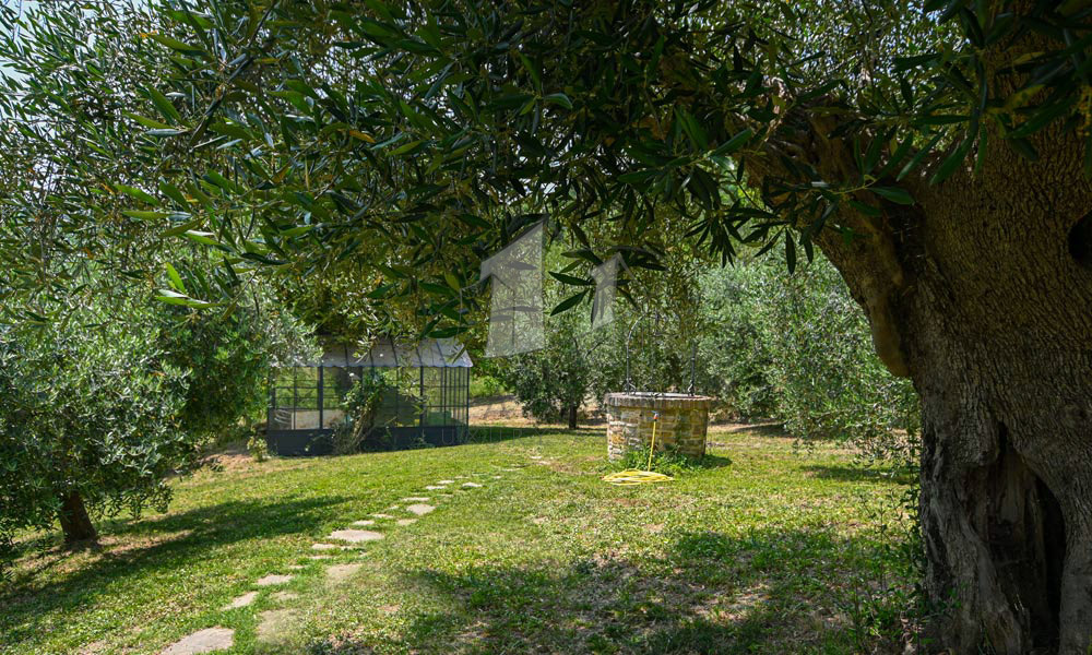 Country House Poggio San Marcello Ancona Marche Italy