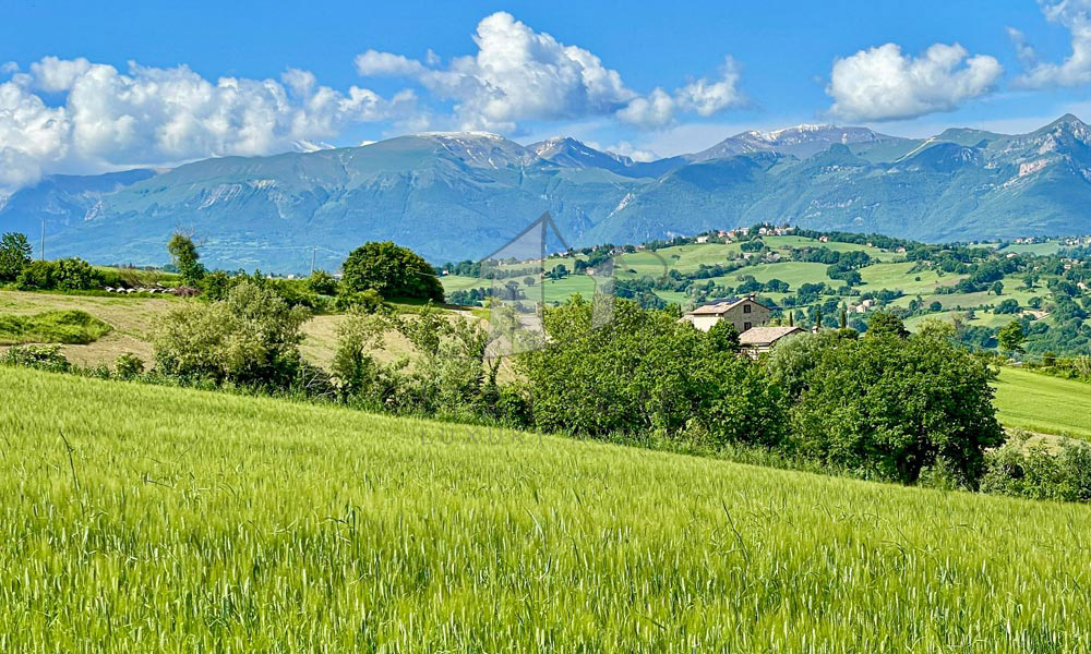 Farmhouse Sant Angelo In Pontano Marche Italy Pool