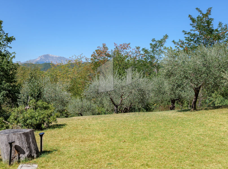 Villa Ascoli Piceno Marche Italy Panorama