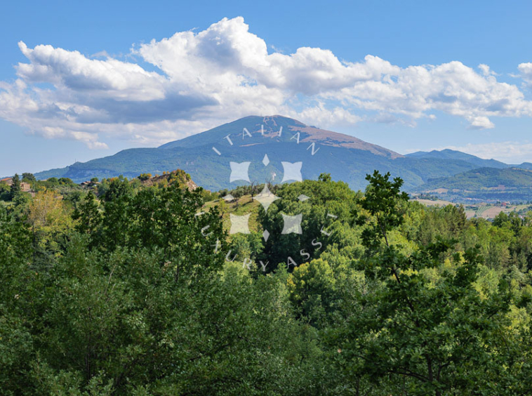 Villa Ascoli Piceno Marche Panorama Italy