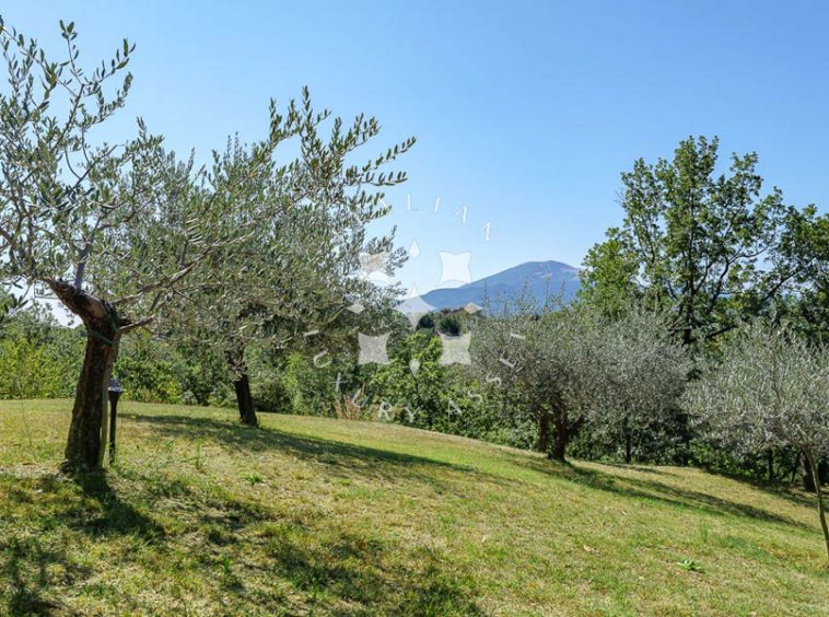 Villa Ascoli Piceno Marche Panorama Italy
