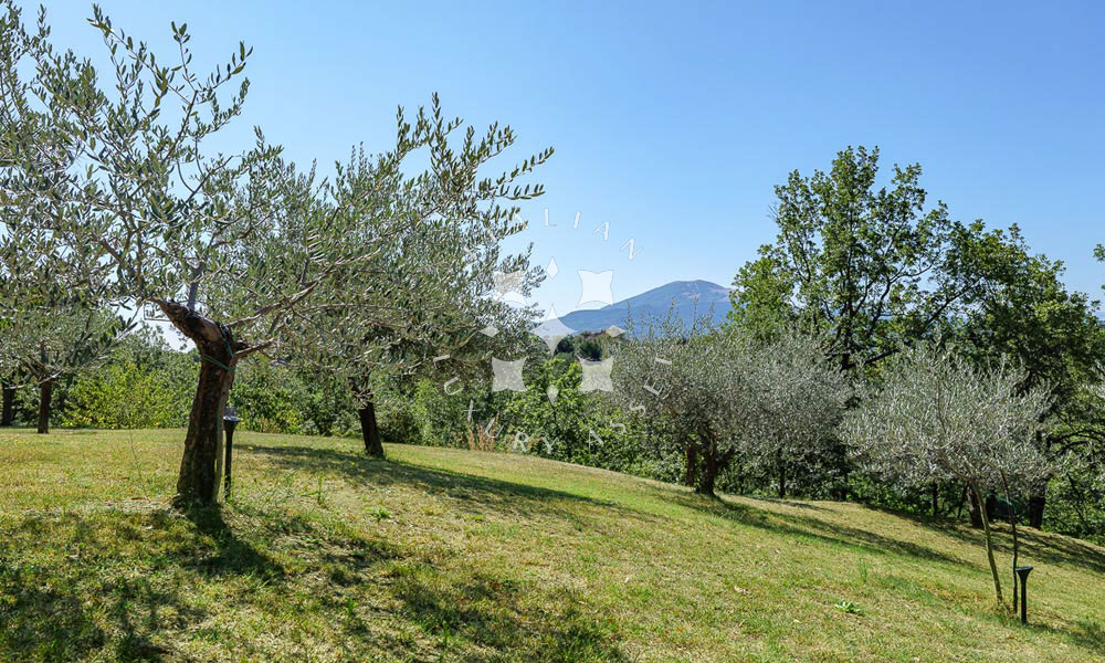 Villa Ascoli Piceno Marche Panorama Italy