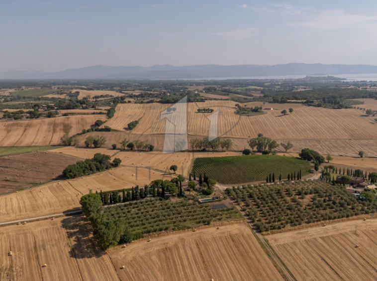 Agriturismo Farmhouse Castiglione del Lago Umbria Italy