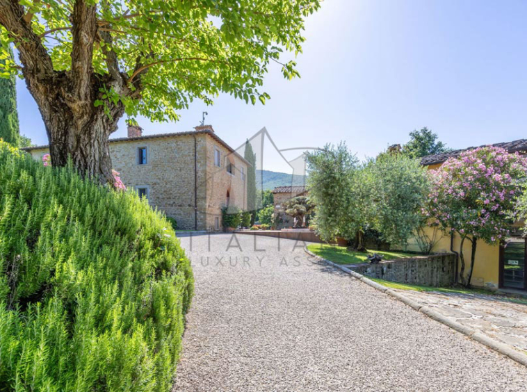Estate Arezzo Tuscany Valdichiana Pool Cinema