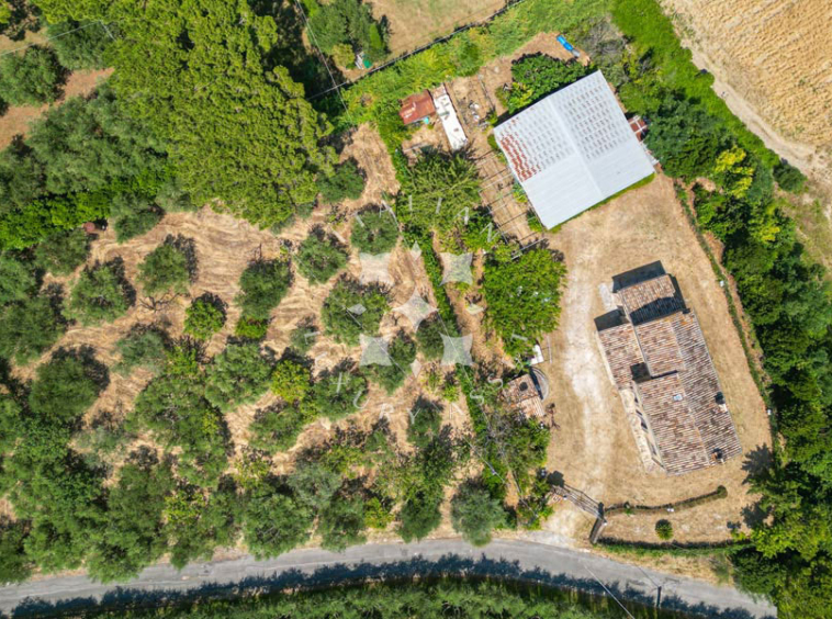 Farmhouse Montelupone Macerata Marche Panorama Italy