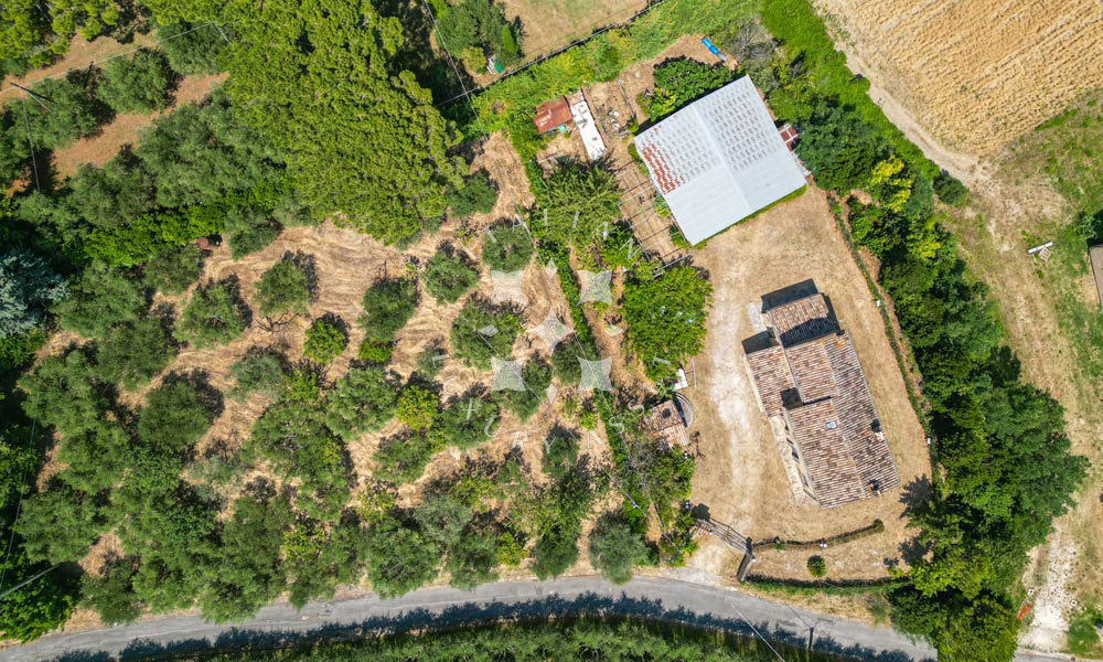 Farmhouse Montelupone Macerata Marche Panorama Italy