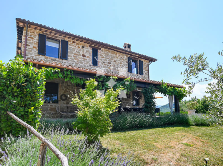 Hamlet Castelraimondo Macerata Marche Italy Pool