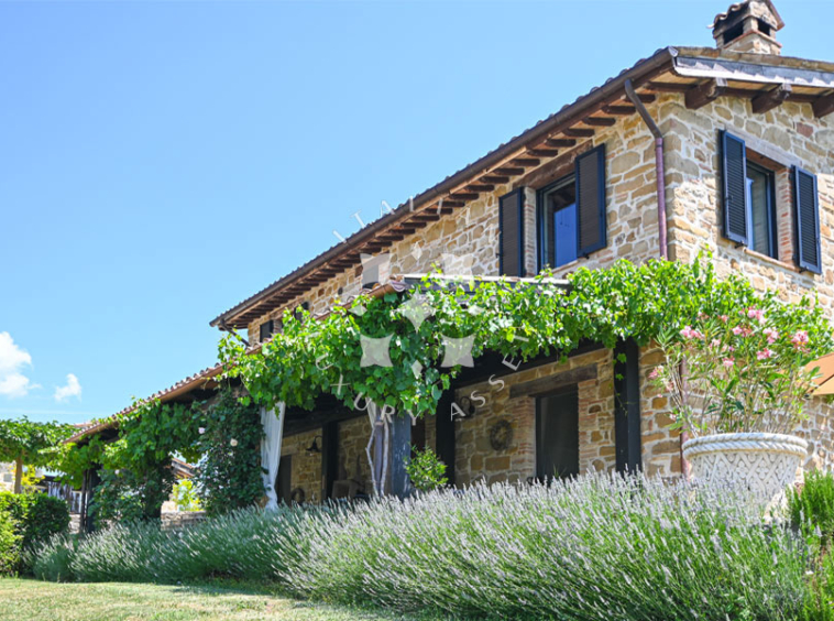 Hamlet Castelraimondo Macerata Marche Italy Pool