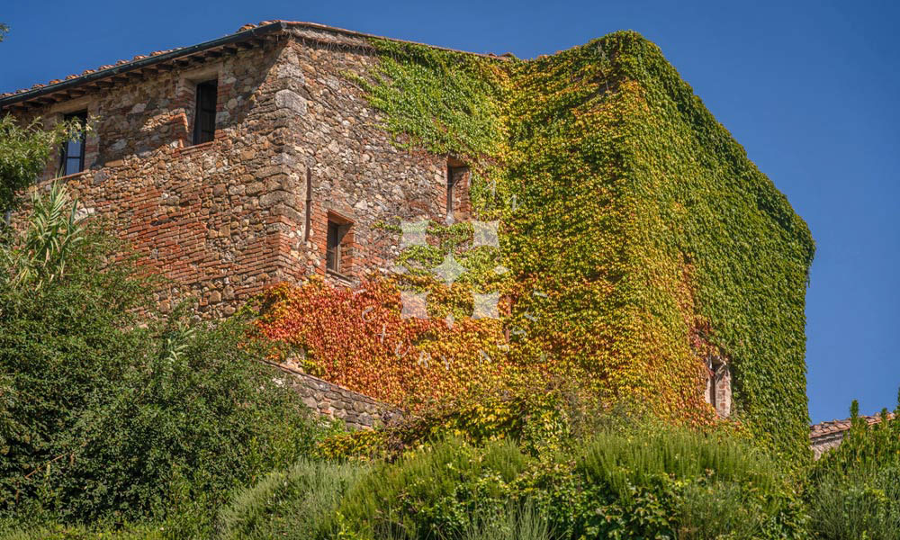 Country Estate Chiusdino Siena Tuscany Italy Pool