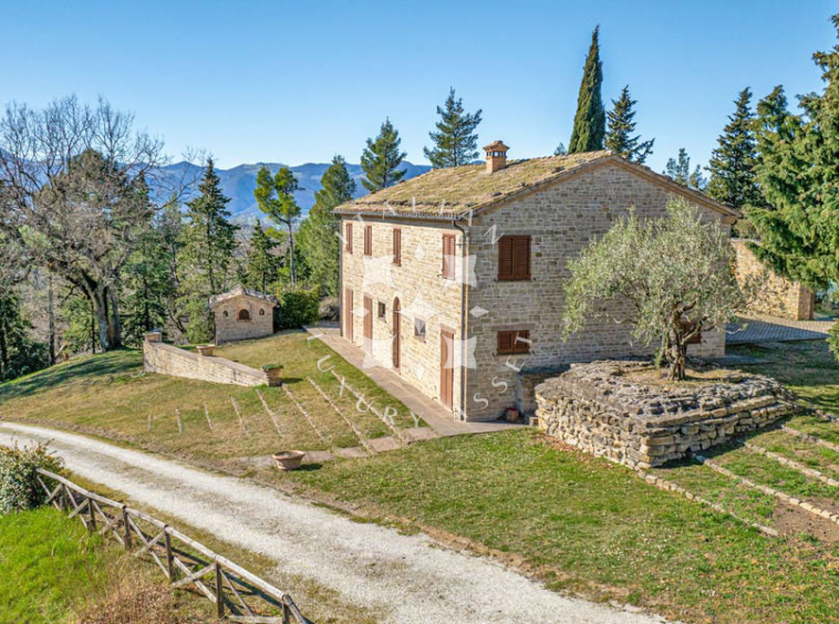 Estate Cupramontana Marche Italy Historical