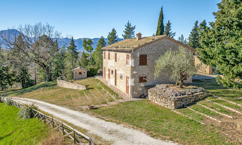 Estate Cupramontana Marche Italy Historical