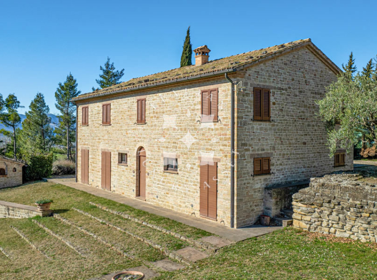 Estate Cupramontana Marche Italy Historical