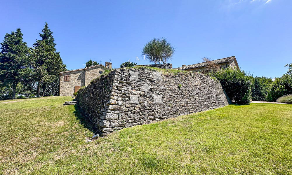 Estate Cupramontana Marche Italy Historical