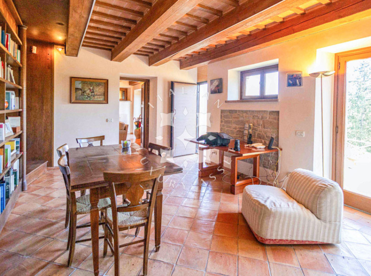 Estate Cupramontana Marche Italy Historical