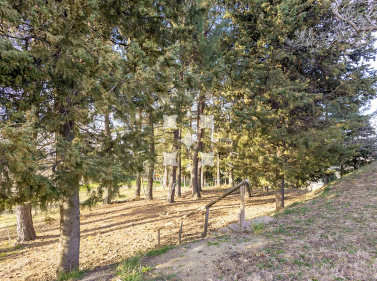 Estate Cupramontana Marche Italy Historical