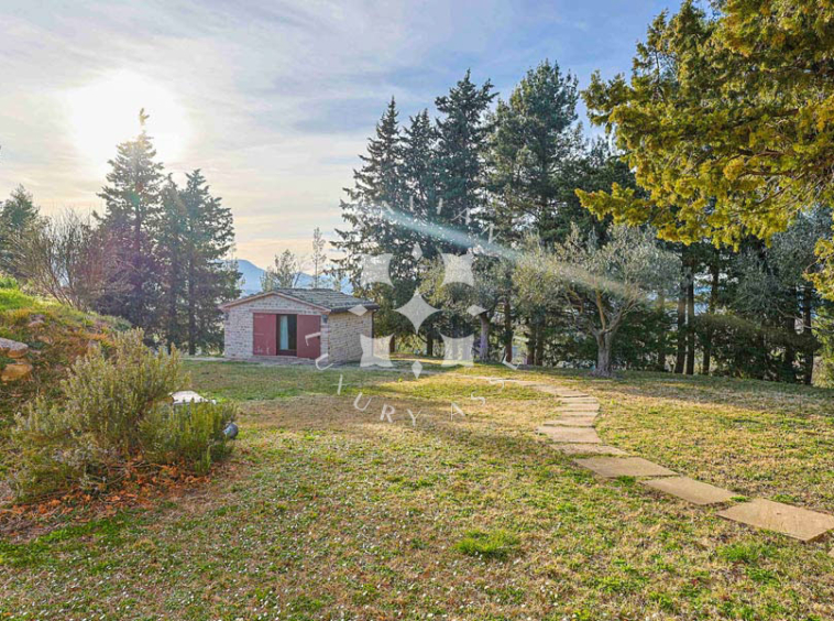 Estate Cupramontana Marche Italy Historical