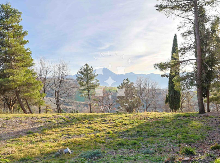 Estate Cupramontana Marche Italy Historical