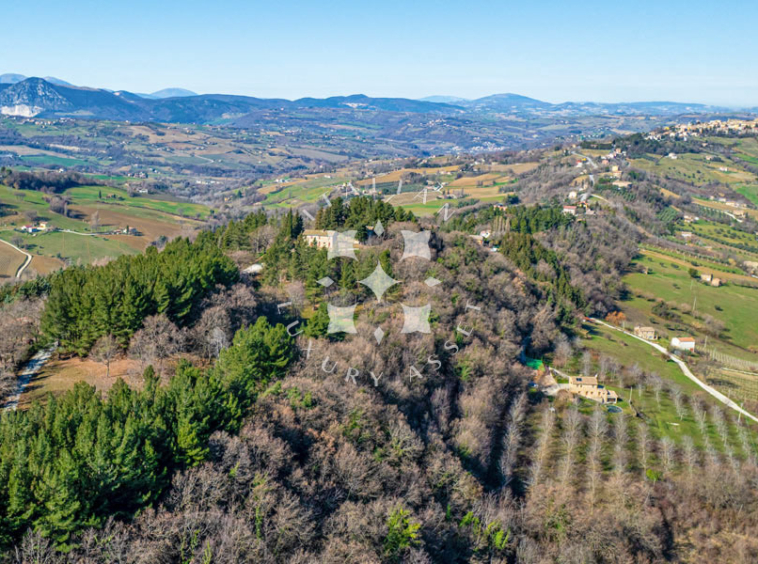 Estate Cupramontana Marche Italy Historical