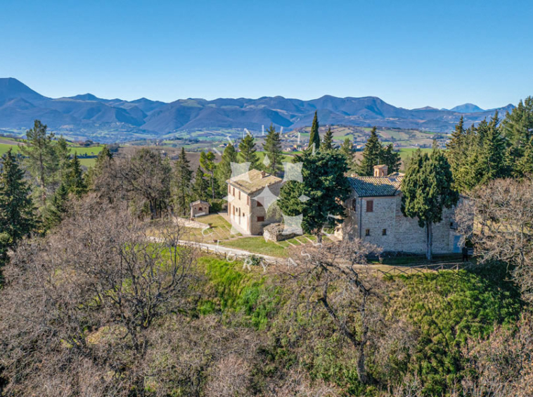 Estate Cupramontana Marche Italy Historical