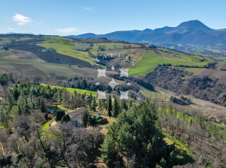 Estate Cupramontana Marche Italy Historical