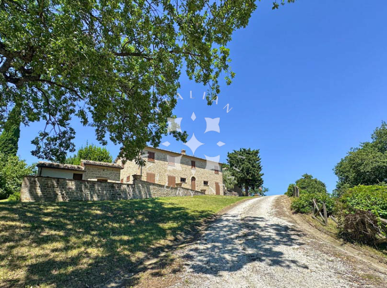 Estate Cupramontana Marche Italy Historical