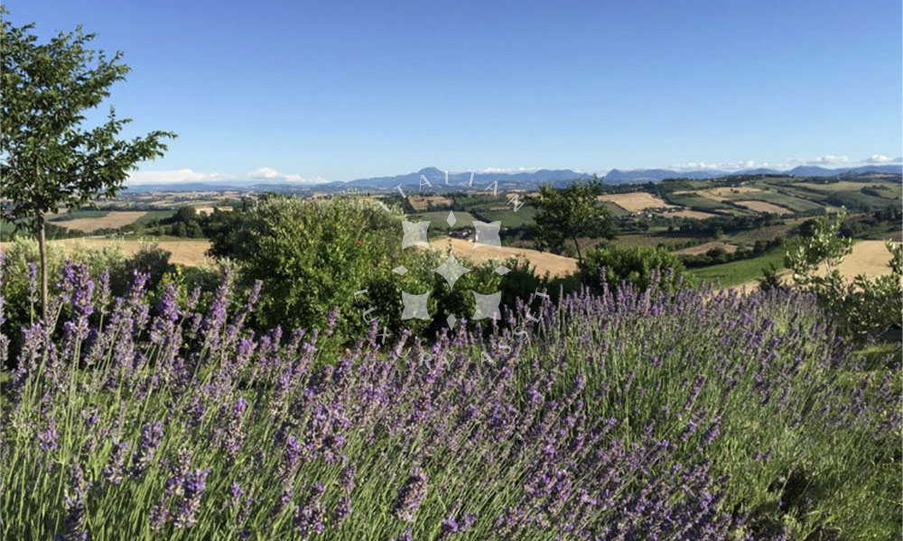 Estate Hotel Trecastelli Ancona Marche Italy Pool