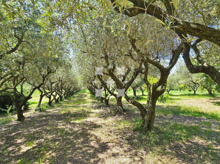 Villa Fano Marche Italy Seaview Panorama