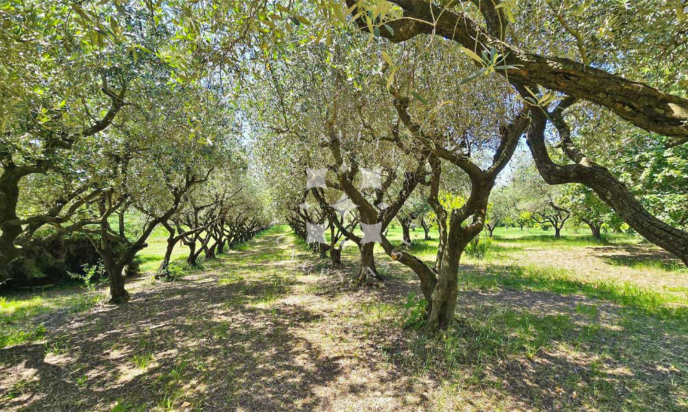 Villa Fano Marche Italy Seaview Panorama